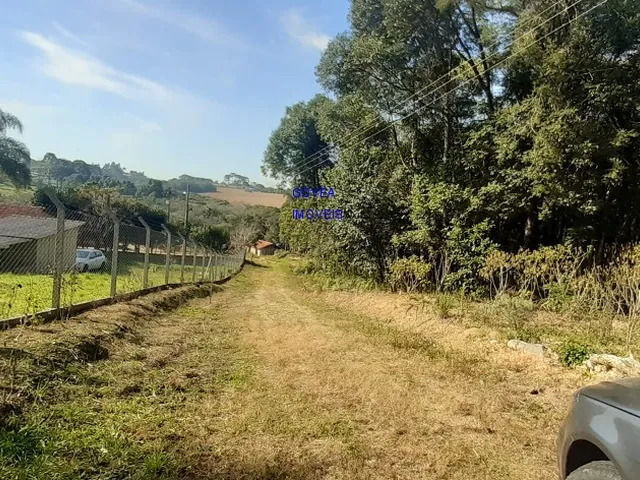 Imagem 1: CHÁCARA 6 MIL M² A UM KM DA IGREJA DO SERRINHA, COM ESCRITURA E REGISTRO DE IMÓVEIS