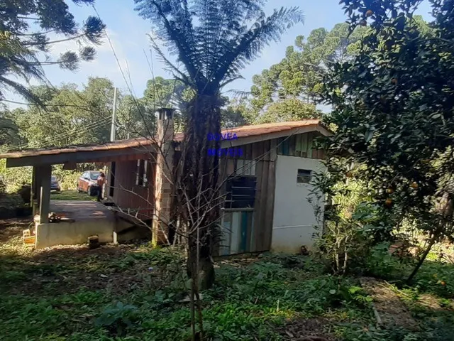 Imagem 8: CHÁCARA 6 MIL M² A UM KM DA IGREJA DO SERRINHA, COM ESCRITURA E REGISTRO DE IMÓVEIS