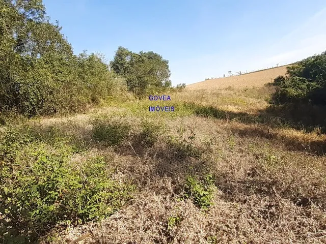 Imagem 13: CHÁCARA 6 MIL M² A UM KM DA IGREJA DO SERRINHA, COM ESCRITURA E REGISTRO DE IMÓVEIS