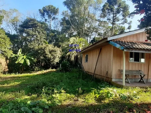 Imagem 10: CHÁCARA 6 MIL M² A UM KM DA IGREJA DO SERRINHA, COM ESCRITURA E REGISTRO DE IMÓVEIS