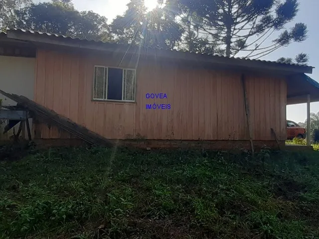Imagem 15: CHÁCARA 6 MIL M² A UM KM DA IGREJA DO SERRINHA, COM ESCRITURA E REGISTRO DE IMÓVEIS