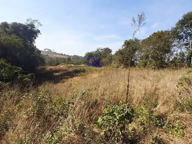 Imagem 6: CHÁCARA 6 MIL M² A UM KM DA IGREJA DO SERRINHA, COM ESCRITURA E REGISTRO DE IMÓVEIS