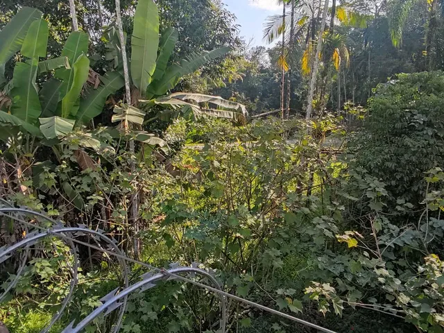 Imagem 2: Casa Alvenaria em Barro Branco, Morretes/PR
