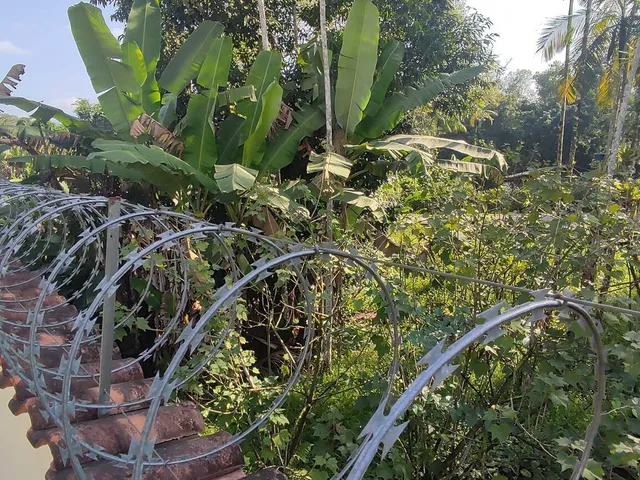 Imagem 6: Casa Alvenaria em Barro Branco, Morretes/PR