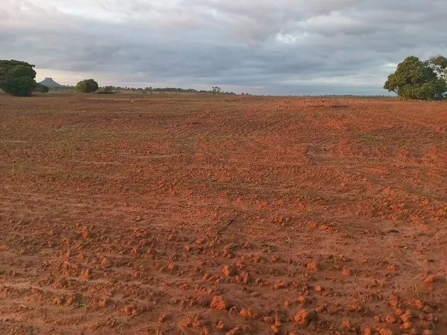 Imagem: Fazenda Dupla Aptidao para Venda na Região