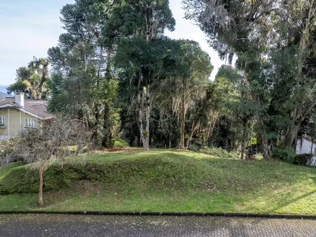 Imagem: TERRENO COM ÓTIMA POSIÇÃO SOLAR NO ST