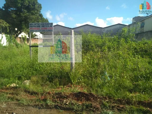 Imagem: SIQUEIRA VENDE DOIS LOTES JUNTOS CADA UM