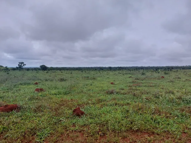 Imagem: Fazenda Grande Extensão Dupla Aptidao a
