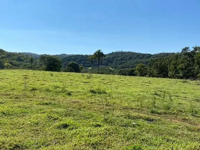Imagem: Fazenda Dupla Aptidão para Venda em Paracatu-Mg