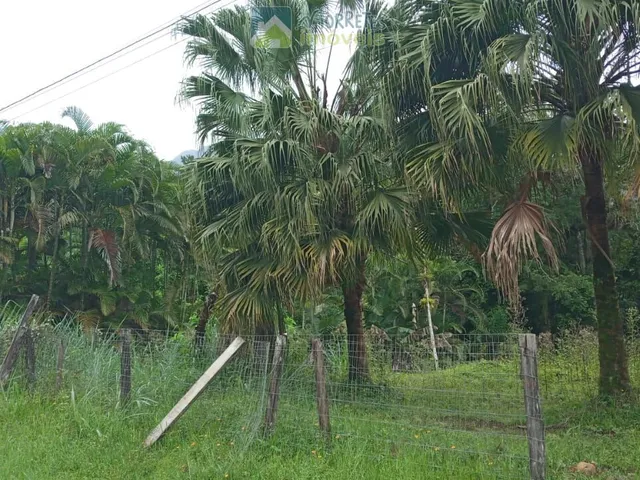 Imagem 4: Terreno / Lote / Chácara