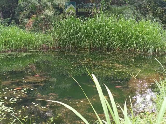 Imagem 8: Terreno / Lote / Chácara