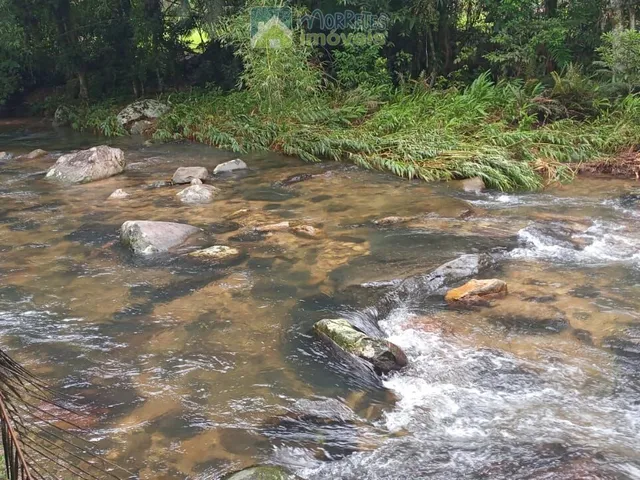 Imagem 3: Terreno / Lote / Chácara