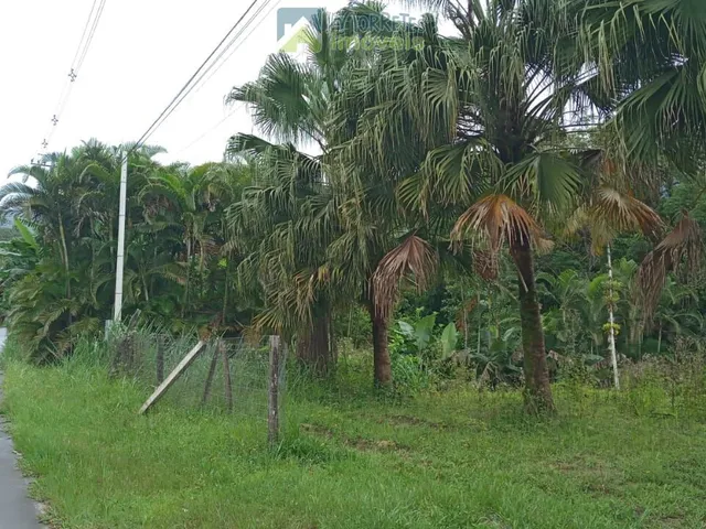 Imagem 14: Terreno / Lote / Chácara