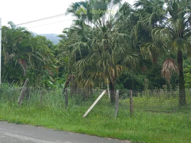 Imagem 13: Terreno / Lote / Chácara