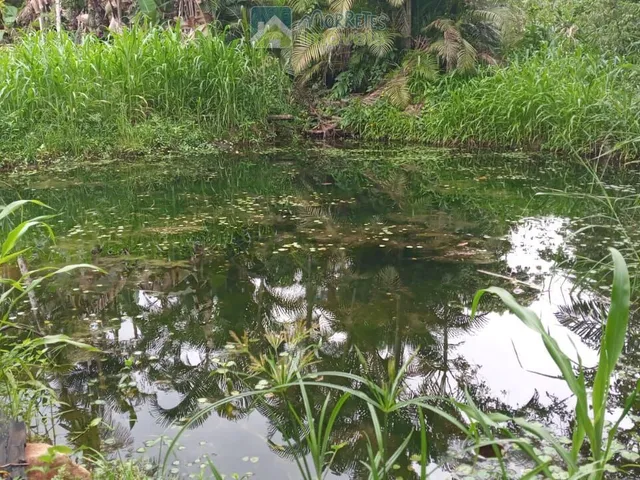 Imagem 6: Terreno / Lote / Chácara