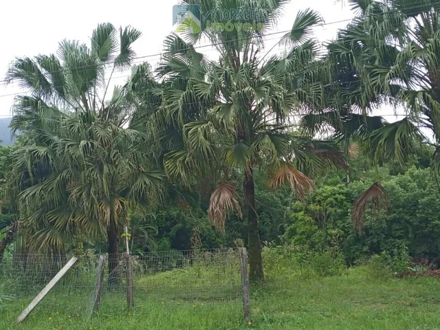 Imagem 11: Terreno / Lote / Chácara