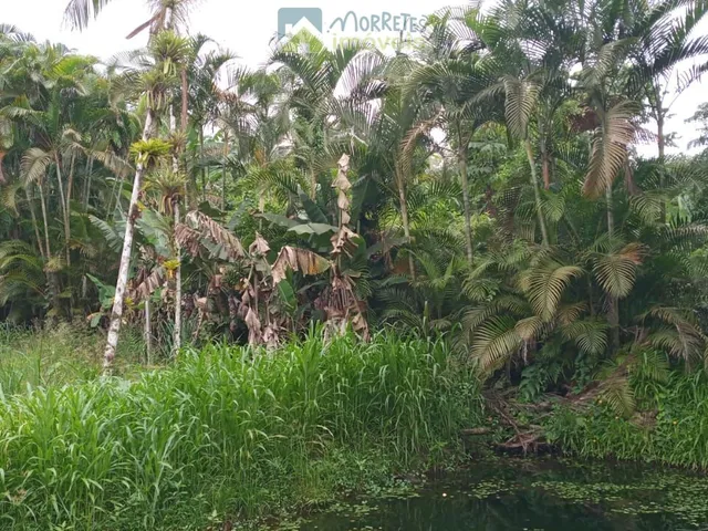 Imagem 7: Terreno / Lote / Chácara