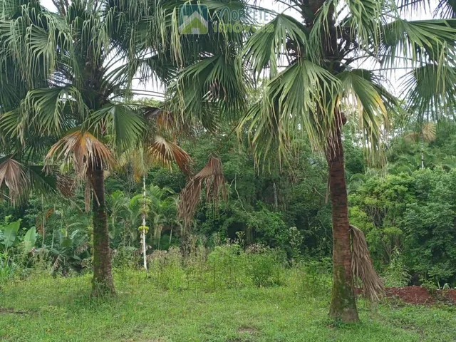 Imagem 10: Terreno / Lote / Chácara