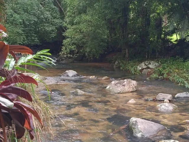Imagem 2: Terreno / Lote / Chácara