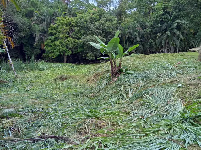 Imagem 12: Terreno / Lote / Chácara