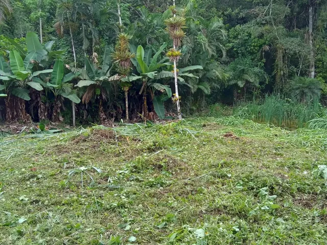 Imagem 5: Terreno / Lote / Chácara