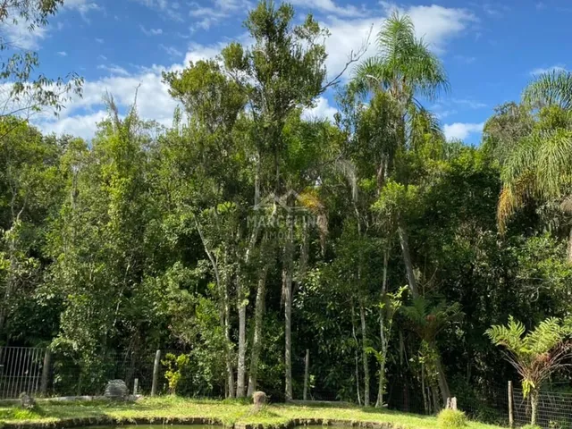 Imagem 16: Sítio à venda no bairro Figueira Grande - Imaruí/SC