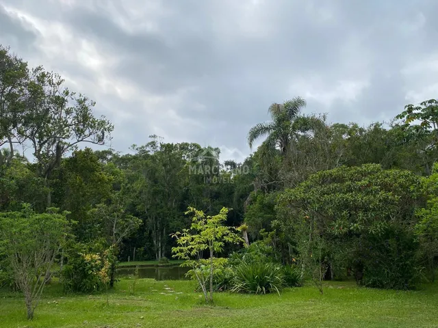 Imagem 8: Sítio à venda no bairro Figueira Grande - Imaruí/SC