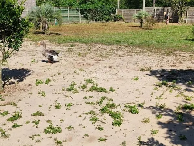 Imagem 6: Sítio à venda no bairro Araçatuba - Imbituba/SC