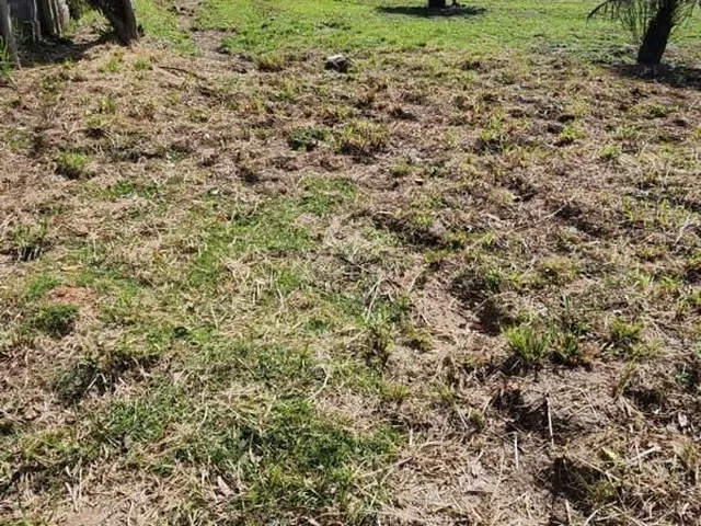 Imagem 4: Sítio à venda no bairro Araçatuba - Imbituba/SC