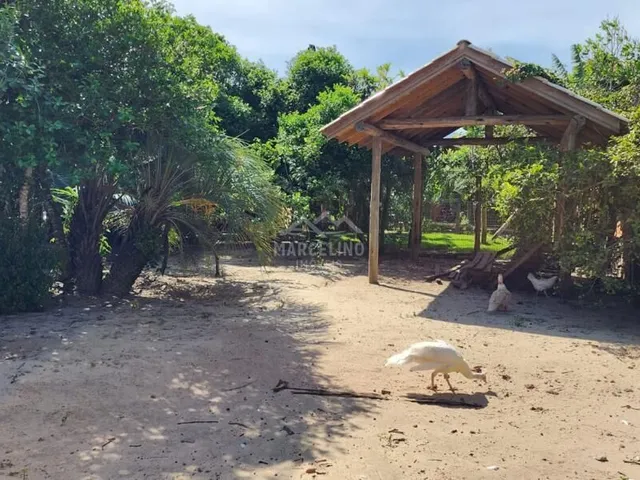 Imagem 5: Sítio à venda no bairro Araçatuba - Imbituba/SC