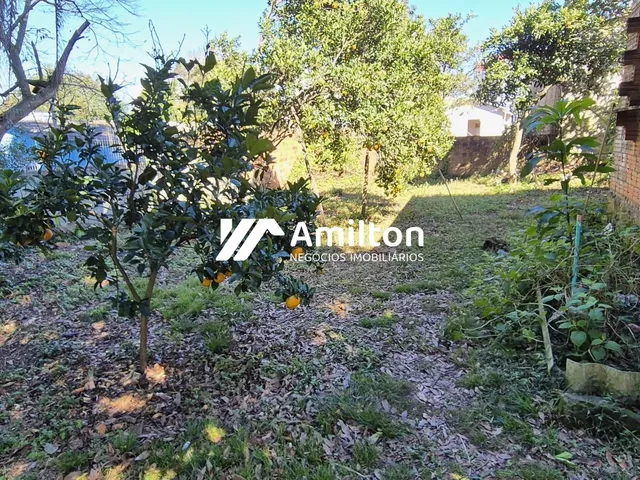 Imagem 5: Casa 3 Dormitórios À Venda Vila Nova Santiago/Rs