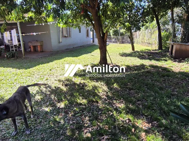 Imagem 8: Casa 3 Dormitórios À Venda Vila Nova Santiago/Rs