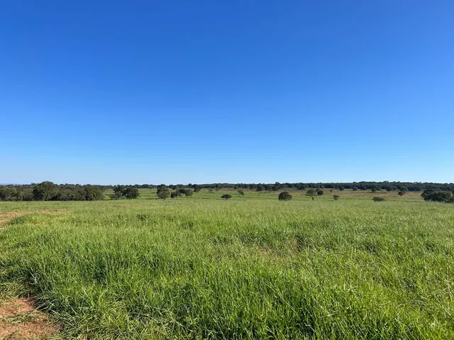 Imagem: Fazenda para Venda na Região de Inocencia-Ms