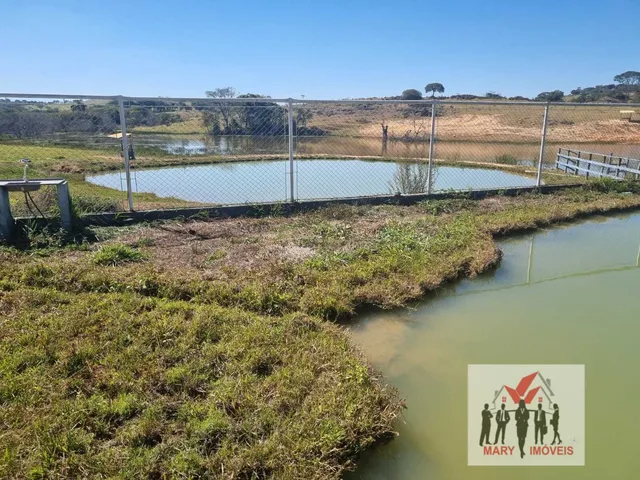 Imagem 13: Fazenda à venda em Boa Esperança/MG
