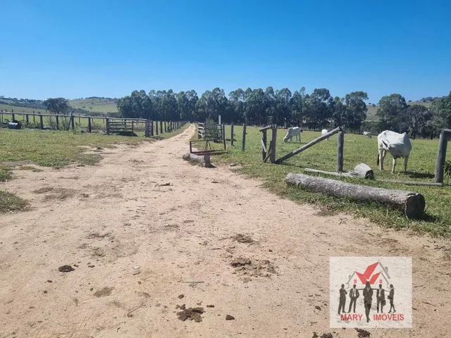 Imagem 11: Fazenda à venda em Boa Esperança/MG