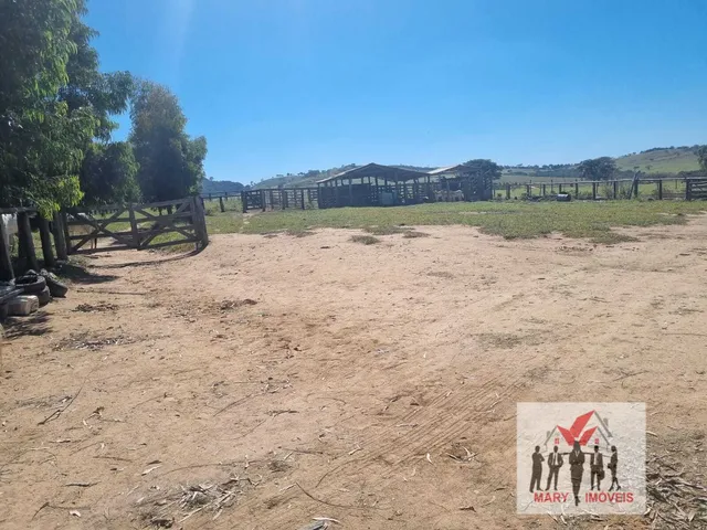 Imagem 9: Fazenda à venda em Boa Esperança/MG