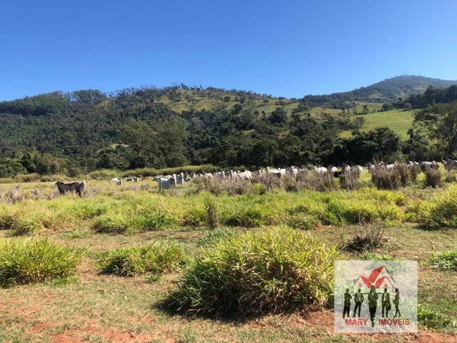 Imagem 12: Fazenda à venda em Boa Esperança/MG