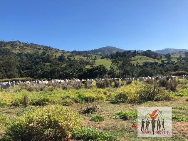 Imagem 4: Fazenda à venda em Boa Esperança/MG