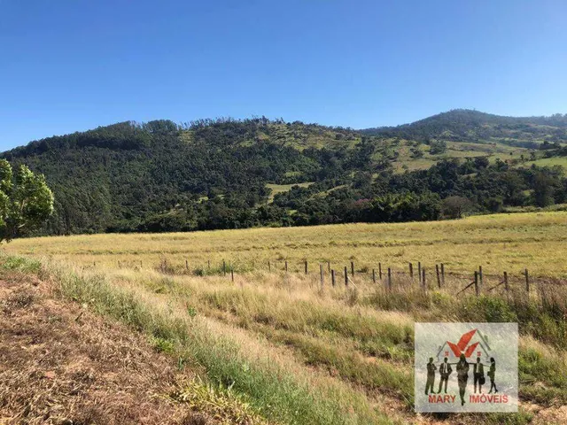 Imagem 3: Fazenda à venda em Boa Esperança/MG