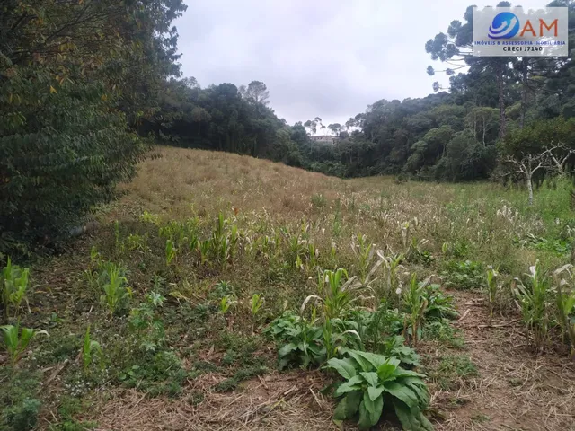 Imagem: Chácara medindo 7.827,00 m²