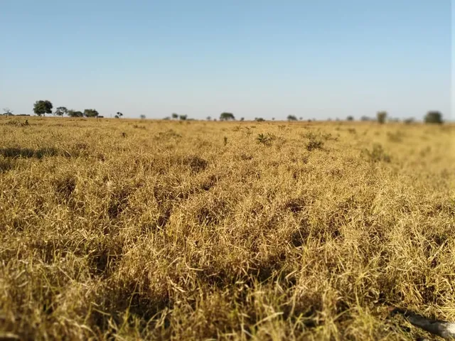 Imagem: A fazenda possui 535m² de Área e está localizado em Area