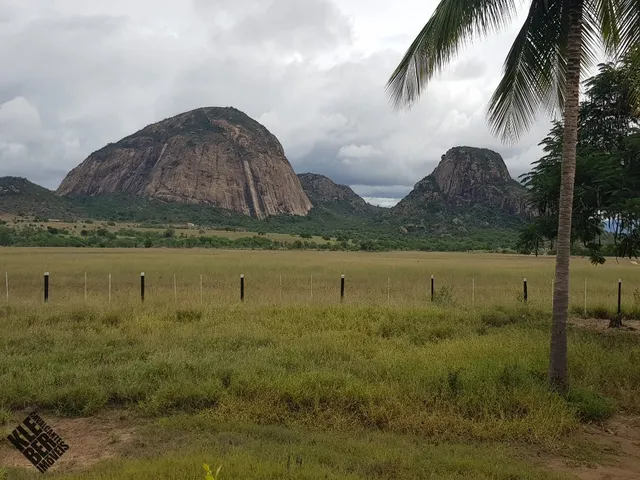 Imagem: Fazenda de Luxo À Venda em Iaçu-Ba 4