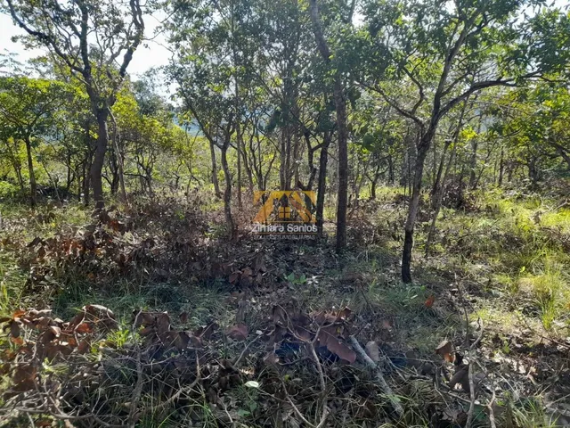Imagem 6: Terreno, 2.618 M² - Próximo Ao Limpão, N° 05 - Palmas/To