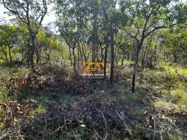 Imagem 10: Terreno, 2.618 M² - Próximo Ao Limpão, N° 05 - Palmas/To