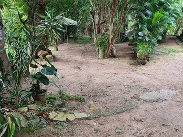 Imagem: Terreno À Venda em Niterói/Rj