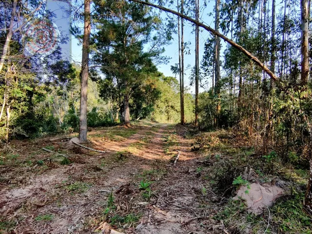 Imagem: Terreno para Chacara