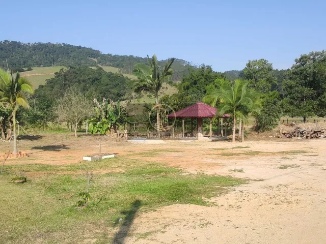 Imagem 2: Lindo sítio, 100% plano, com córrego!