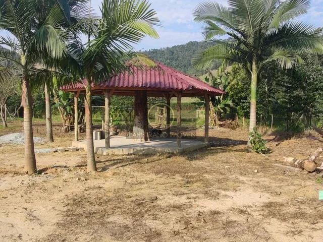 Imagem 5: Lindo sítio, 100% plano, com córrego!