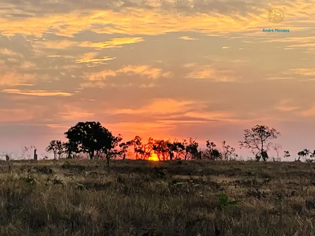 Imagem 6: Fazendinha à Venda no Aconchego da Serra, MG