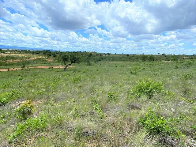 Imagem 3: Fazendinha à Venda no Aconchego da Serra, MG
